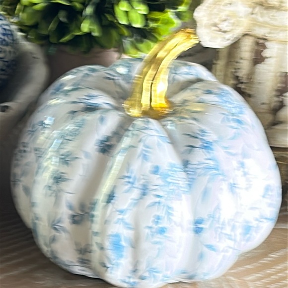 NEW! Boho Chic Farmhouse Blue & White Roses Floral Fall Autumn Harvest Pumpkin - Picture 7 of 7